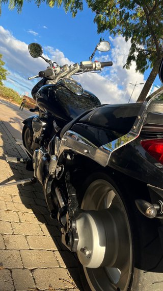 Suzuki intruder