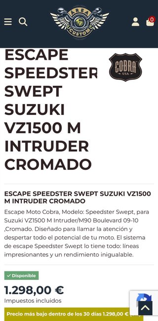 Suzuki intruder
