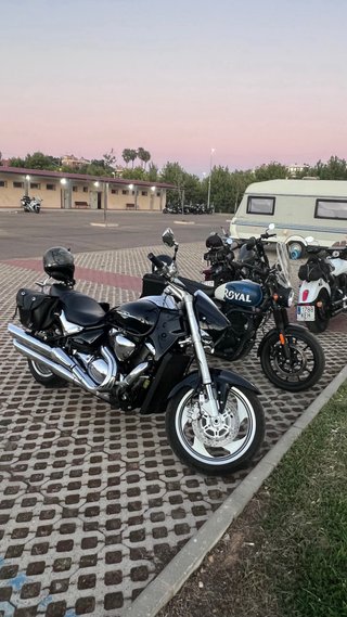 Suzuki intruder