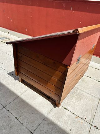 caseta perro