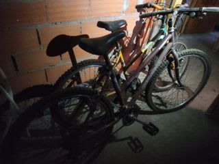 Bicicleta Orbea Moon y Georgina