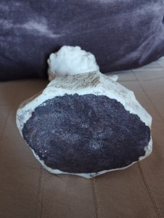 Figura oso y madroño