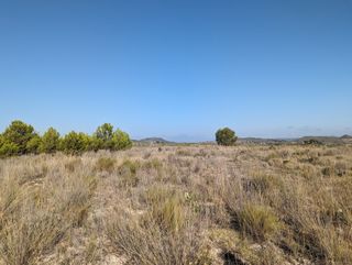 Terreno Agrario de 22,300m²