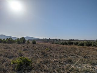 Terreno Agrario de 22,300m²