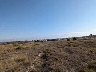 Terreno Agrario de 22,300m²