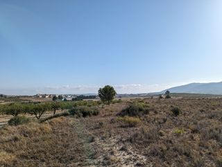 Terreno Agrario de 22,300m²
