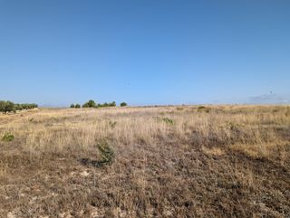 Terreno Agrario de 22,300m²