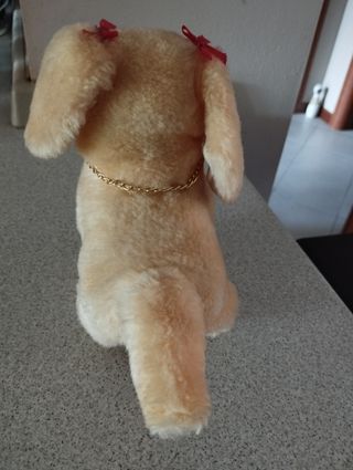 Peluche Cane