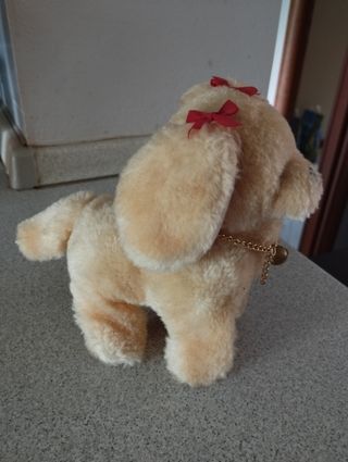 Peluche Cane