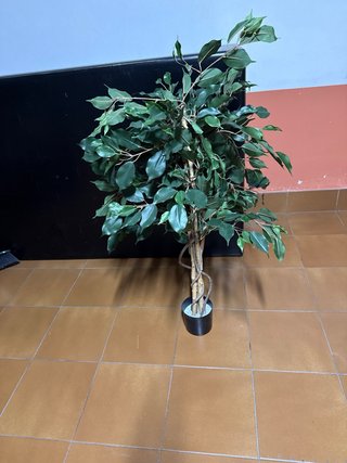 Planta artificial
