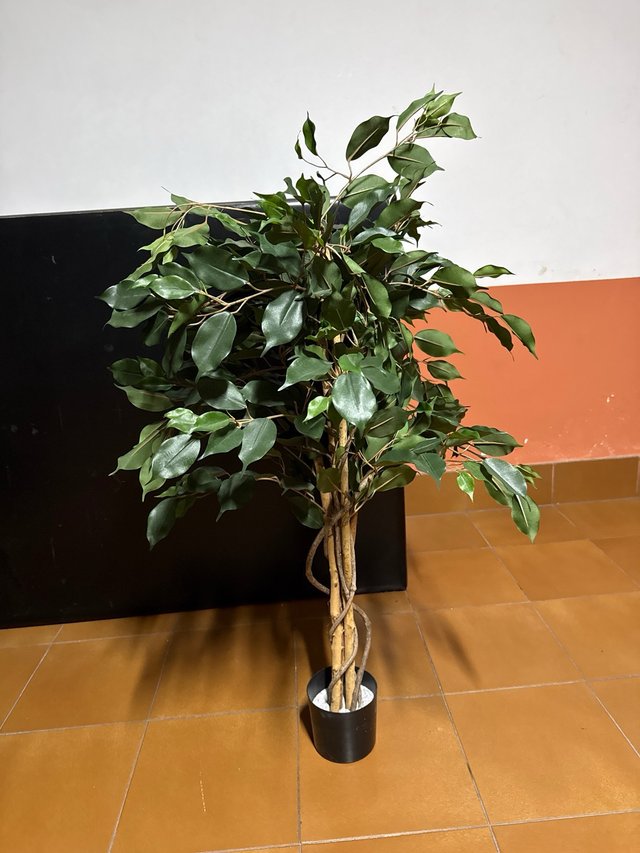 Planta artificial