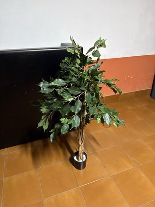 Planta artificial