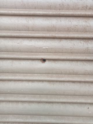 Persiana metálica de ventana