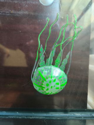 Cesta para pecera+ medusa flotante