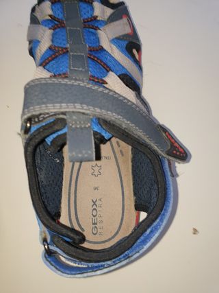 Sandalias Geox niño