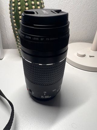Canon EOS 2000D con obiettivi