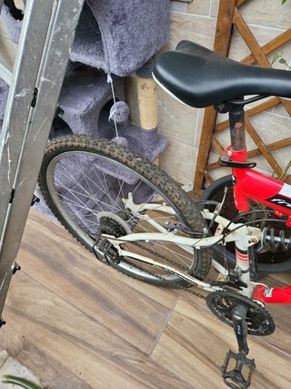 Bicicleta montaña