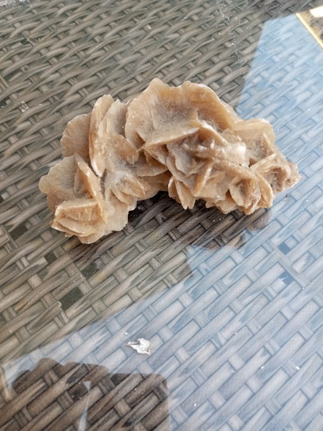 Rosa del deserto pietra