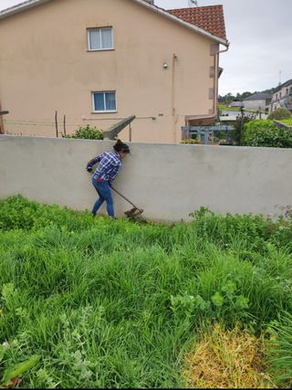 Desbroce y limpiezas