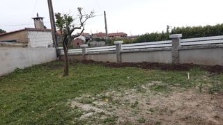 Desbroce y limpiezas