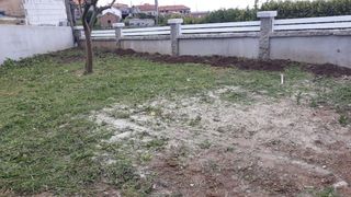 Desbroce y limpiezas