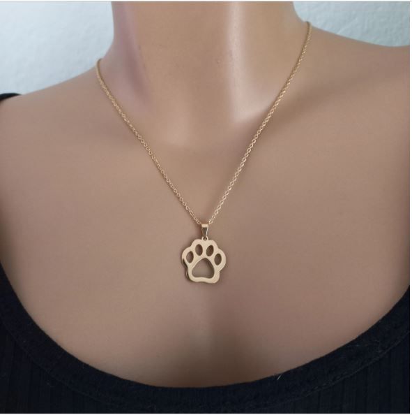 Conjunto cadena y pendientes acero de pata perro