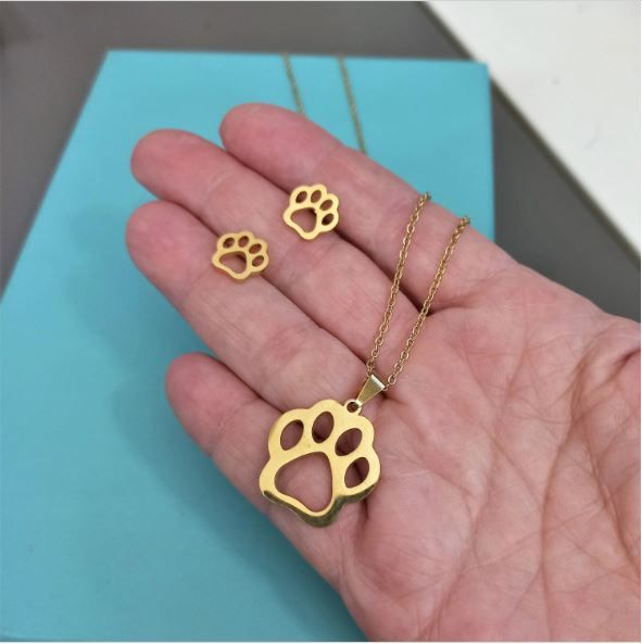 Conjunto cadena y pendientes acero de pata perro