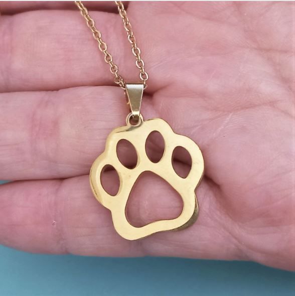 Conjunto cadena y pendientes acero de pata perro