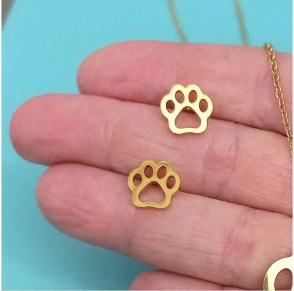 Conjunto cadena y pendientes acero de pata perro