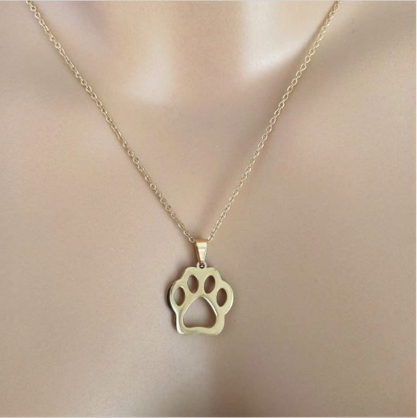 Conjunto cadena y pendientes acero de pata perro