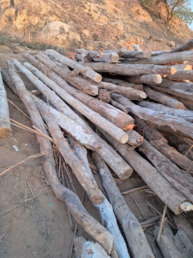 Vigas de madera antiguas