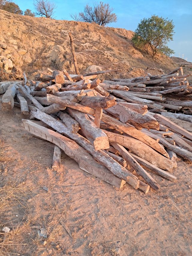 Vigas de madera antiguas