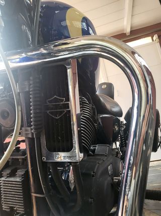 Harley Davidson Sportster 1200 Roadster año 2008