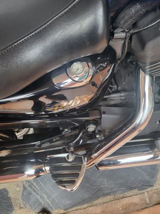 Harley Davidson Sportster 1200 Roadster año 2008