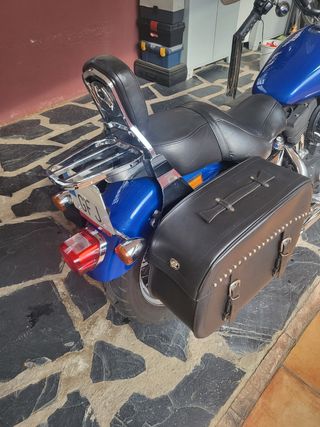 Harley Davidson Sportster 1200 Roadster año 2008