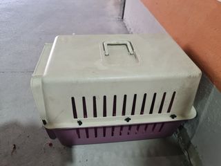 Transpoting animales