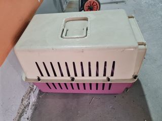 Transpoting animales