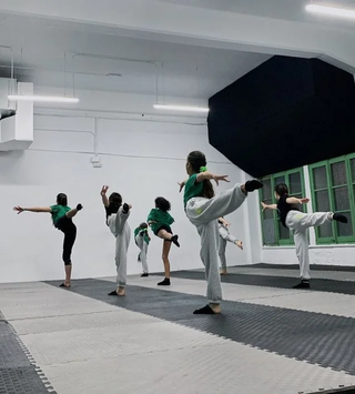 Nuevo de fábrica: suelo tatami puzzle