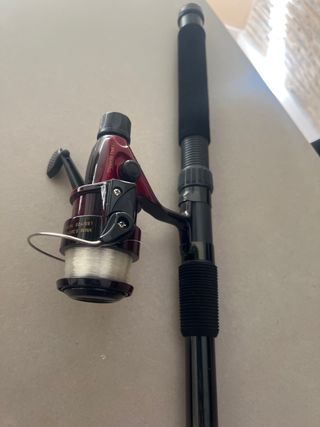 Caña de pesca