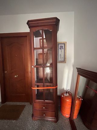 Mueble Vitrina 