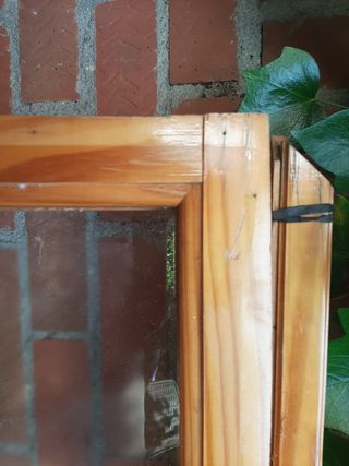 Fijo para interior decorar o dar luz a