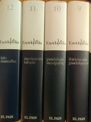 enciclopedia Salvat año 2003