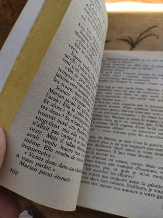 Le Nabab de Irene Frain. 1982