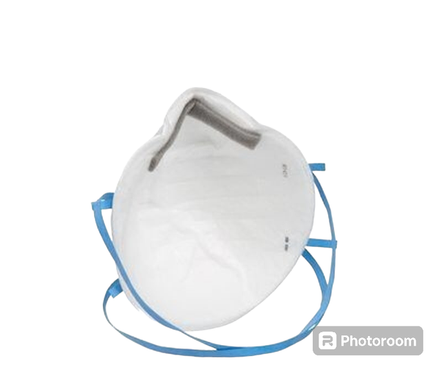 Mascherina Monouso 3M - 25 PZ