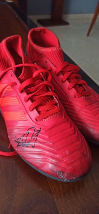 Botas Adidas predator