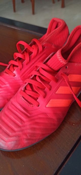 Botas Adidas predator