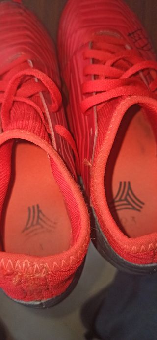 Botas Adidas predator