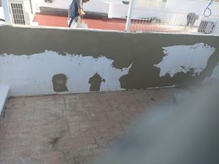 Pintor Profesional