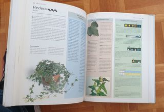 Manual de supervivencia de las plantas .