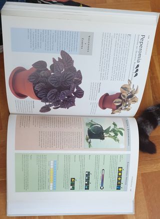 Manual de supervivencia de las plantas .